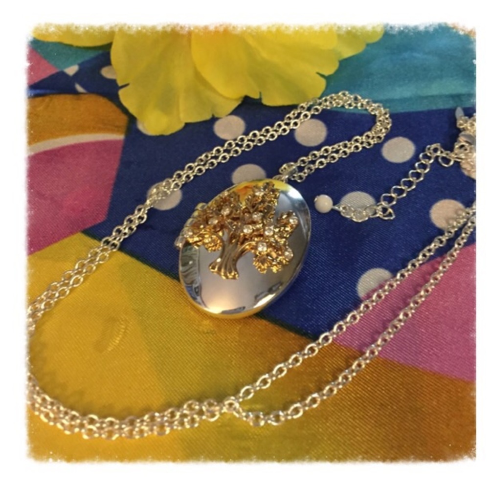 ๐Oaktree Incentive Locket - Picture 5 of 6